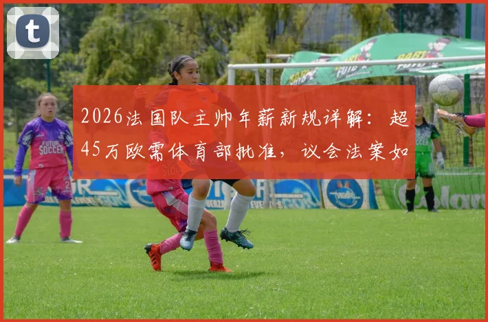 2026法国队主帅年薪新规详解:超45万欧需体育部批准,议会法案如何影响德尚或未来继任者?